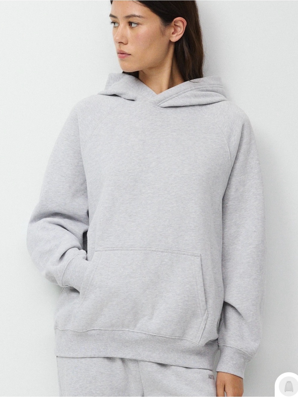 Aritzia Mega Fit Boyfriend Hoodie